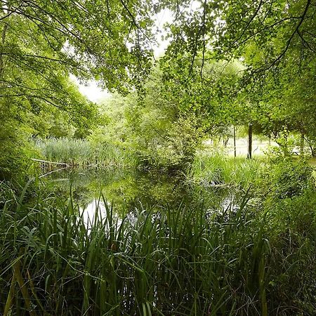 Un Petit Coin De Campagne Dans Le Pays De Saint-Gilles Villa Bagian luar foto